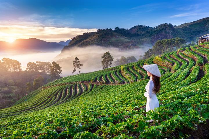Xu hướng Mua váy hoa mà không biết 4: Hotspot Matrix tiết lộ bí quyết video viral