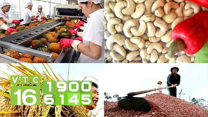 Từ Quốc hội thông qua quyết định đến chiến lược content: Hotspot Matrix chia sẻ