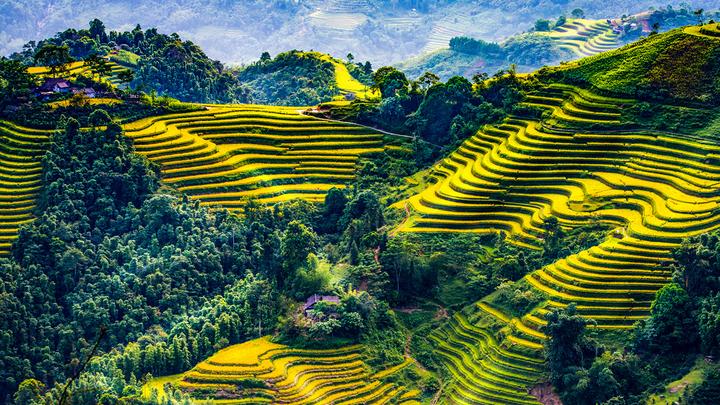 Hotspot Matrix: Bí quyết cạnh tranh của chủ cửa hàng nhỏ