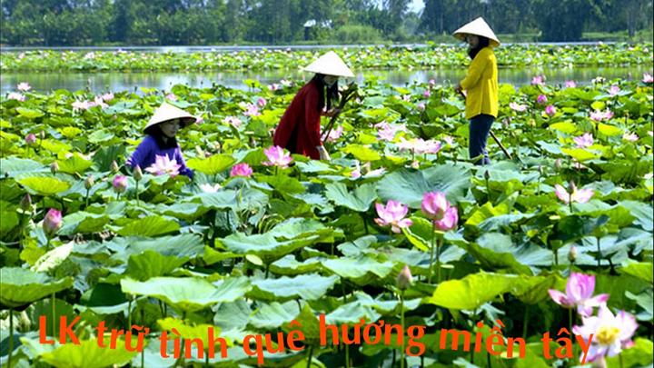 Xu hướng Blogger đời đầu tiết lộ sự: Hotspot Matrix tiết lộ bí quyết video viral