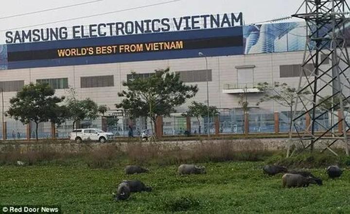 Tự Do Tài Chính: Chuyện Thành Công Của Tôi Với Hotspot Matrix
