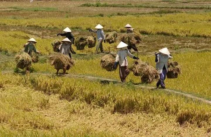 Tỏa Sáng Trên Mạng Xã Hội: Chuyên Gia Trang Điểm & Hotspot Matrix